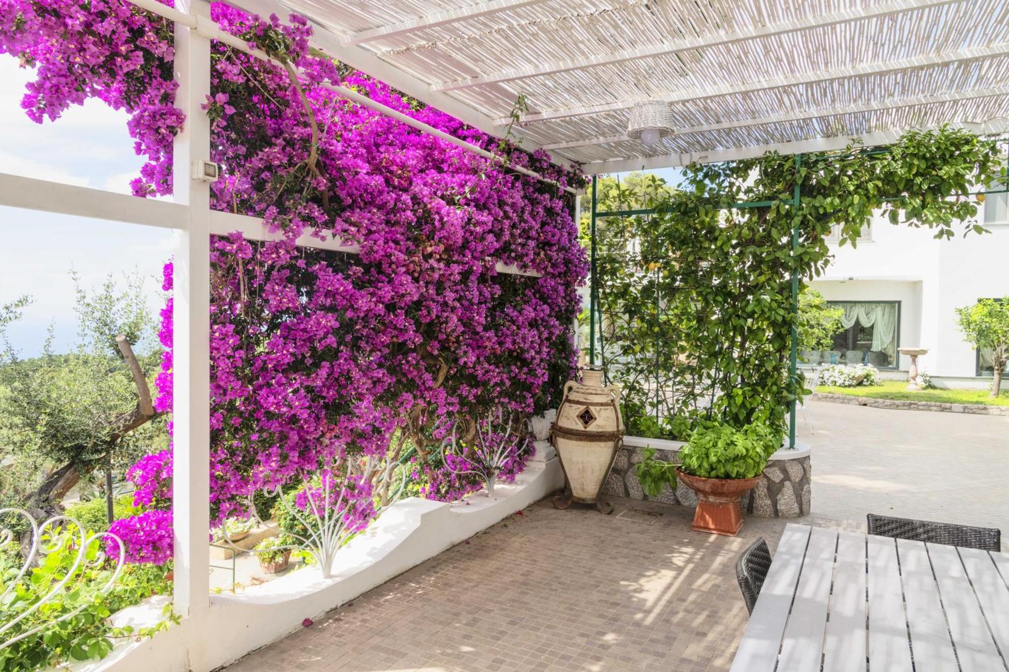 La Canostra Capri - Luxury Room Ad Anacapri Екстер'єр фото